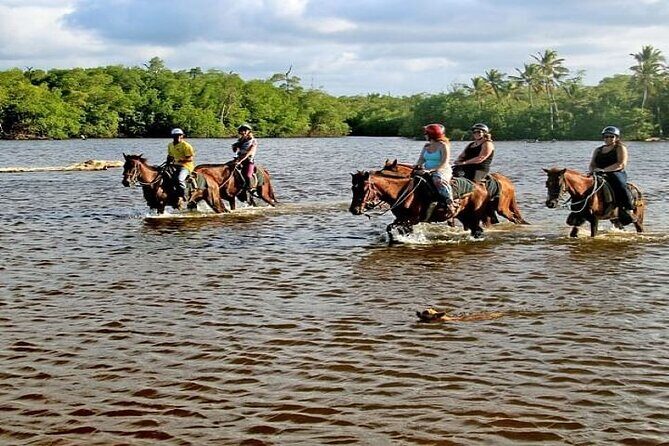 Horseback Riding to Maimon River from Punta Cana - Key Things To Know Before You Go