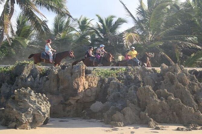 Horseback Riding to Maimon River from Punta Cana - Punta Cana’s Countryside, On Horseback (Not Just Another Beach Tour)