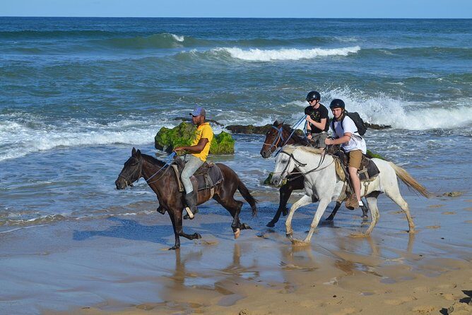 Horseback Riding Tour Adventure on the Beach - Why This Beach Ride Beats Another Resort Excursion