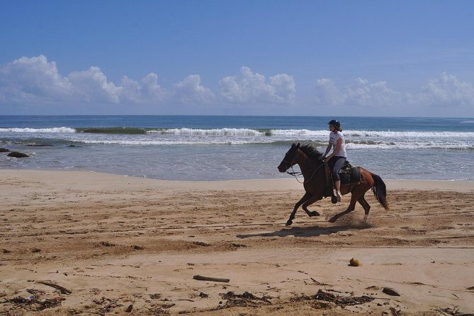 Horseback Riding Tour Adventure on the Beach - The Ride Itself: Uvero Alto Beach at Your Pace