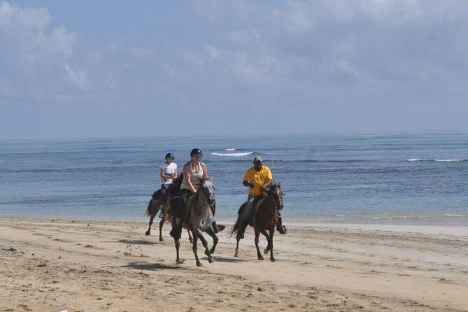 Horseback Riding Tour Adventure on the Beach - What to Bring (and What to Skip)