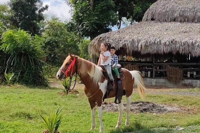 Horseback Riding tour near Santo Domingo with pick up and dropoff - Why Higuero Makes a Great Santo Domingo Horse Ride