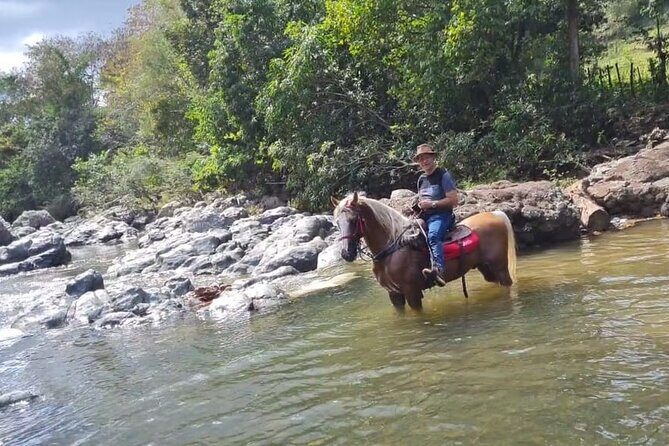 Horseback Riding tour near Santo Domingo with pick up and dropoff - The Ranch Start in Higuero and Your 1-Hour 30-Minute Ride