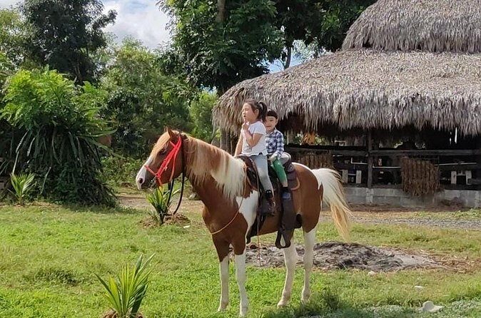Horseback Riding tour near Santo Domingo with pick up and dropoff - Horses, Safety, and Adjusting to Your Riding Ability