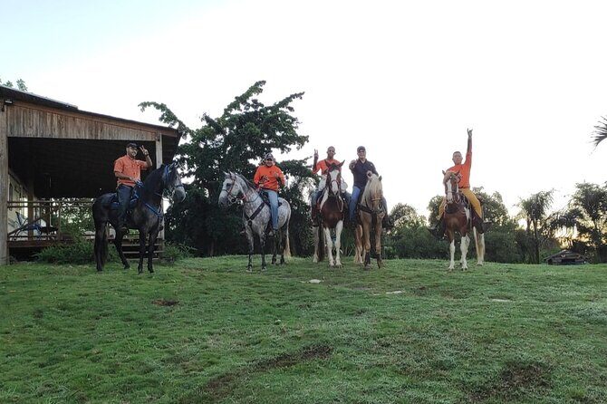 Horseback Riding tour near Santo Domingo with pick up and dropoff - Price and Value: Is $95 Worth It Near Santo Domingo?