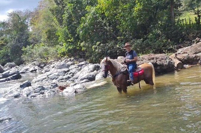 Horseback Riding tour near Santo Domingo with pick up and dropoff - Weather and Timing: The Real Risk Factor