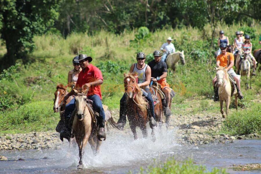 Horseback Riding Tour of Punta Cana - Entering Uvero Alto: what the “family” setup really means
