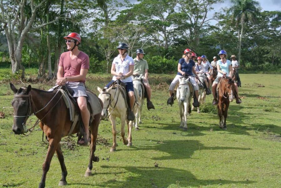 Horseback Riding Tour of Punta Cana - The “forest nature” stop: more than just pretty scenery