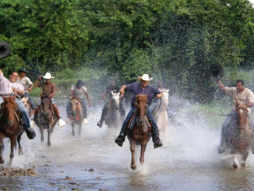 Horseback Riding Tour of Punta Cana - Playa Serena and ranch trails: what the ride feels like in practice