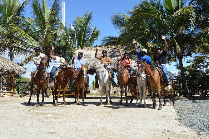 Horseback Riding Tour on the Beaches of Punta Cana - Pickup, group size, and what the ride day feels like