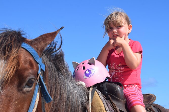 Horseback Riding Tour on the Beaches of Punta Cana - Price and value: what $54 covers in real terms