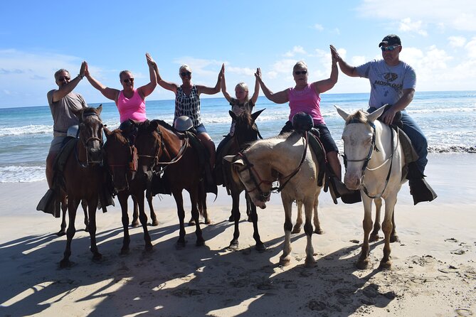 Horseback Riding Tour on the Beaches of Punta Cana - Horse and guide basics: language, control, and safety rhythm