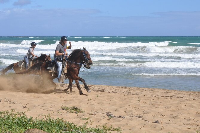 Horseback Riding Tour on the Beaches of Punta Cana - Macao Beach on horseback: pick your pace and keep it comfortable