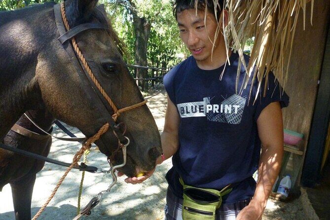 Horseback riding tours from amber cove & Taino bay port silver - Horses and Safety Feel: When Guides Help You Relax