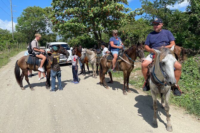 Horseback riding tours from amber cove & Taino bay port silver - The Price: Is $95 Worth It for What You Actually Get?