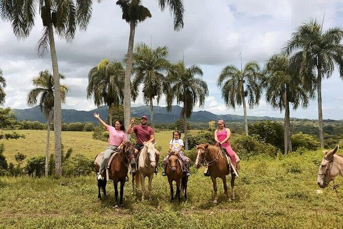 Horseback Riding with Pickup from Punta Cana - Safety, animals, and who this suits best