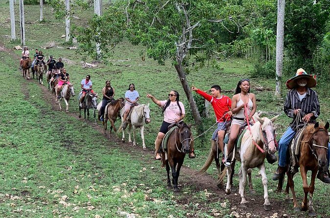 Horseback Riding with Pickup from Punta Cana - The bottom line: should you book horseback riding from Punta Cana?