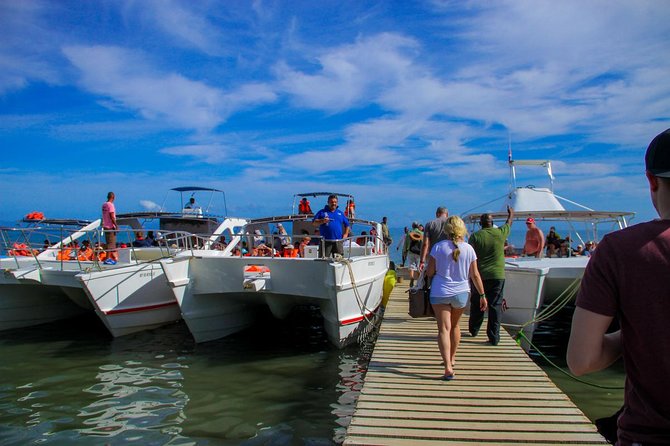 Humpback whales Watching + Samana Eco-Tour - Samana Bay and the quick culture stop in Samaná City