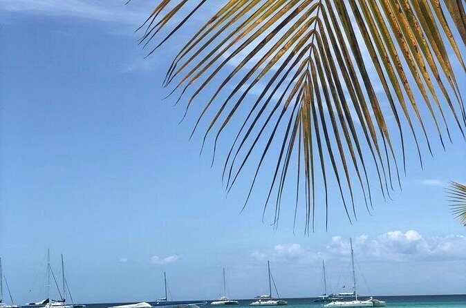Iberostar Grand Bavaro - Round Trip Shuttle - Punta Cana Airport - What’s Included (and What You’ll Pay For Separately)