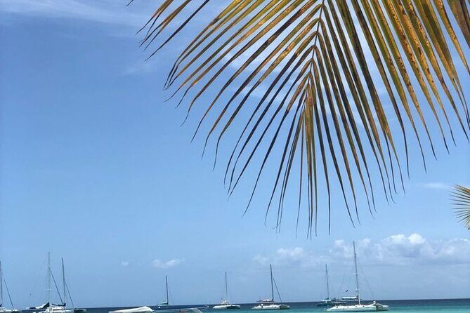 Iberostar Grand Bavaro - Round Trip Shuttle - Punta Cana Airport - Who This Shuttle Fits Best (And Who Might Rethink It)