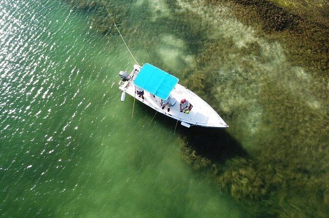 Inshore & Fly Fishing Punta Cana Private charter at Marina Cap Cana - Inshore and Fly Fishing Around Punta Cana’s Shallow Reef