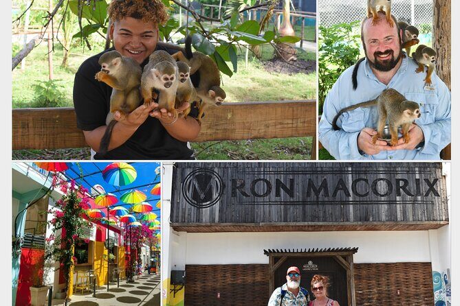 Interaction with Monkey Tour & city tour in Puerto Plata - Key things to know before you go