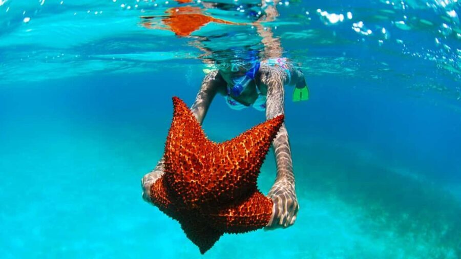 isla saona día completo - Getting to Saona: the day starts before the water