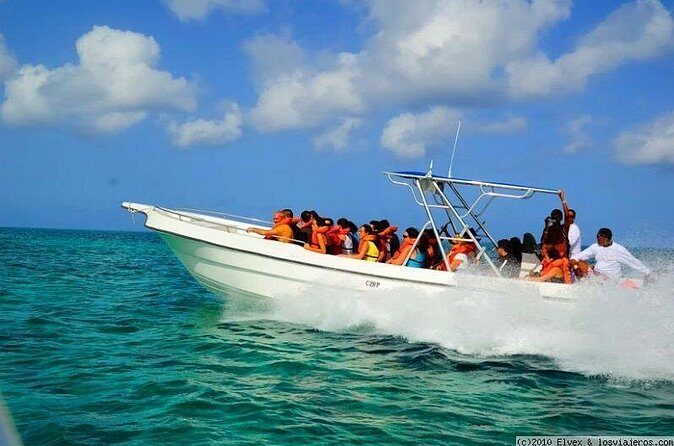 Isla Saona El Paraiso del Caribe - Price and value: is $80 worth it for Saona?