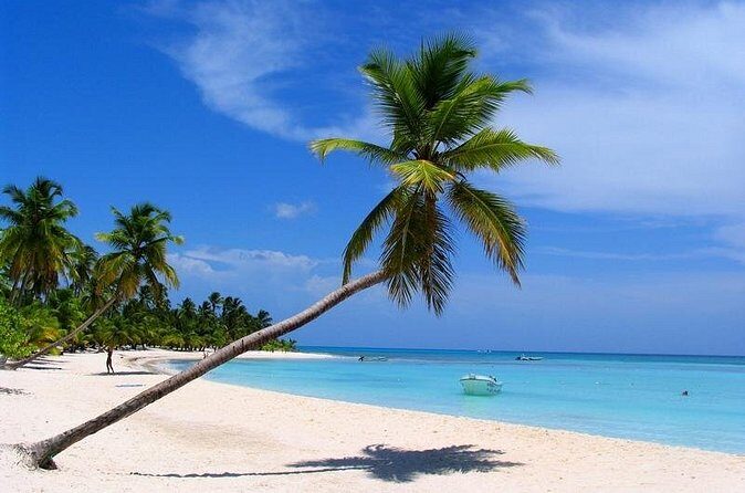 Isla Saona El Paraiso del Caribe - Who this tour fits best (and who might not love it)