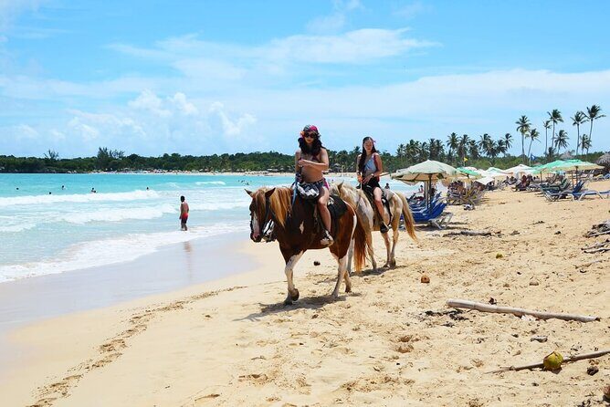 Jungle and Beach Horse Ridding round trip transportatin. - The Ranch Part: Coffee, Cacao, and Making Your Own Cigar