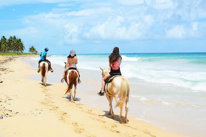 Jungle and Beach Horse Ridding round trip transportatin. - Price Value: What $51 Includes and Why It Adds Up
