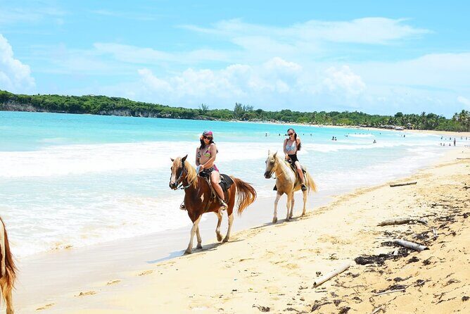 Jungle and Beach Horse Ridding round trip transportatin. - Who This Tour Best Fits (And Who Should Skip It)