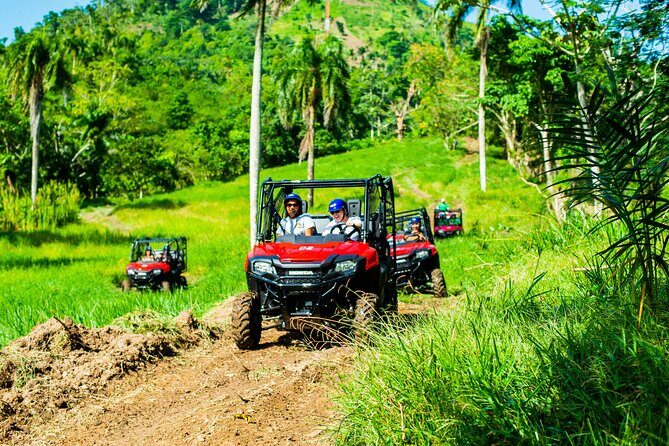 Jungle Buggies + Ziplines Adventures - Key reasons this tour scores high
