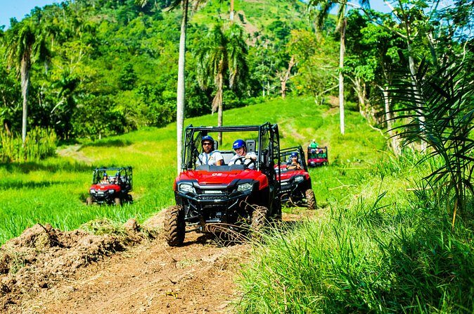 Jungle Buggies + Ziplines Adventures - Price and value: is $179 per group worth it?