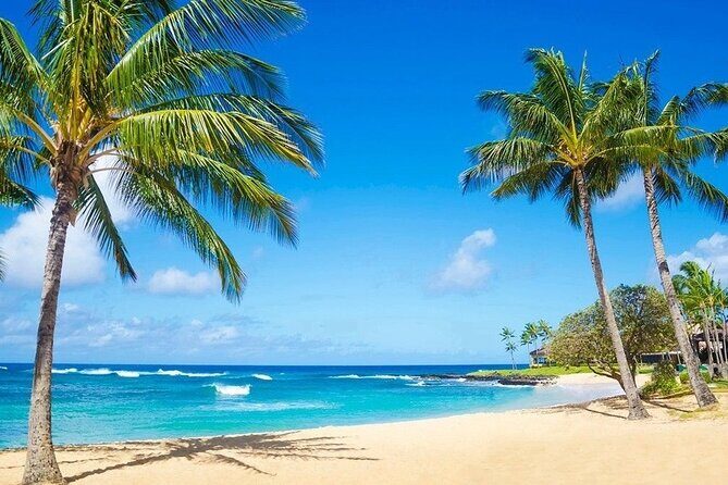 Kayak Adventure Photography on the beach - Clear-Kayak Photos on Punta Cana’s Beach: What You’re Really Booking