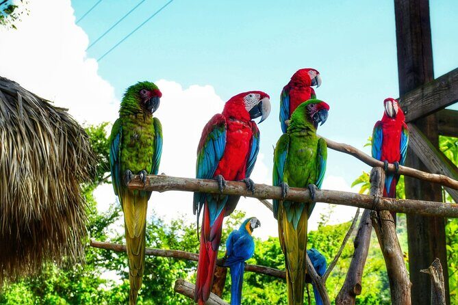 La Hacienda Park Tour - Key Highlights You’ll Actually Care About