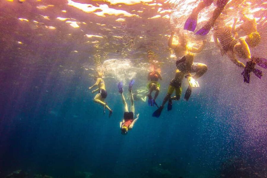 La Romana: Catalina Island Full-Day Snorkeling Tour - Should you book La Romana Catalina Island snorkeling?