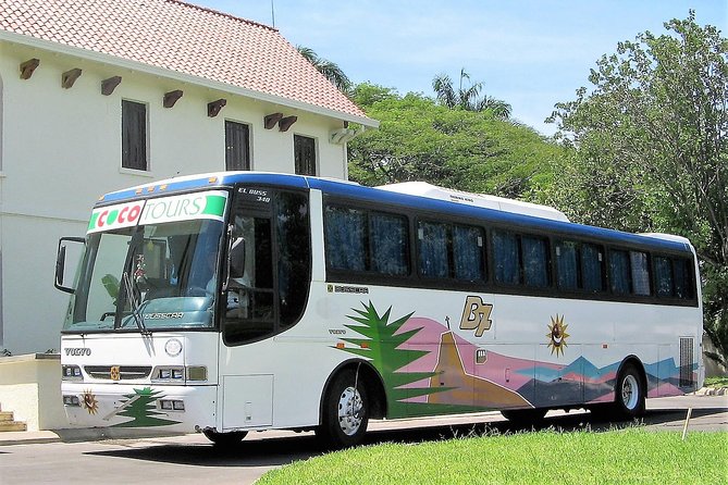 La Romana port transfers (Punta Cana airport to port) - Punta Cana Airport to La Romana Port: What You’re Actually Paying For