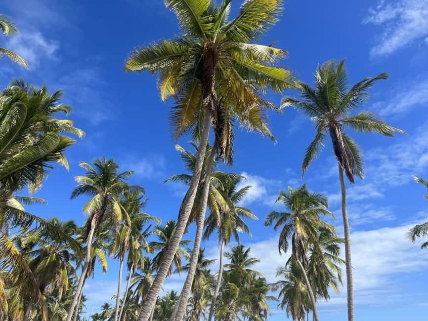 La Romana: Saona Island for Norwegian Sky Cruise Passengers - Catuano Beach snorkel (or just sun): the “easy entry” water stop