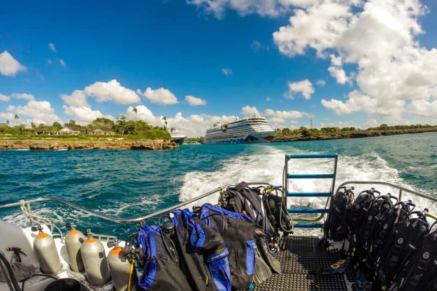La Romana: Scuba Diving in Catalina Island - Second underwater stop at The Aquarium (west side): marine life you can actually spot