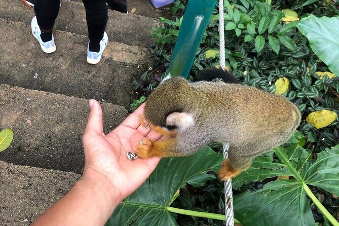 land of monkeys and silver port city tour - Cathedral of St. Philip the Apostle: a quick lesson in layers
