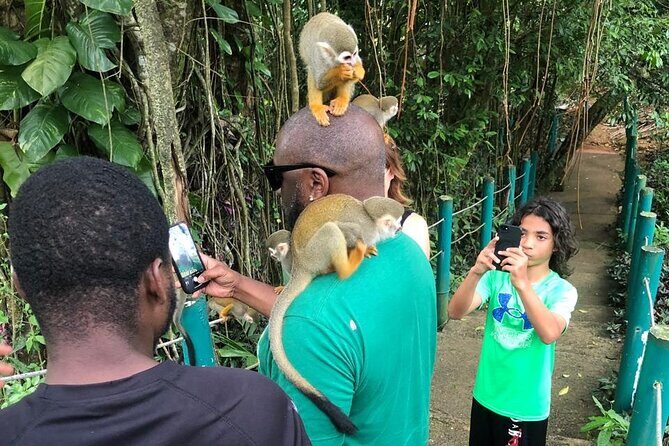 land of monkeys and silver port city tour - How long it takes and why $120 can feel fair