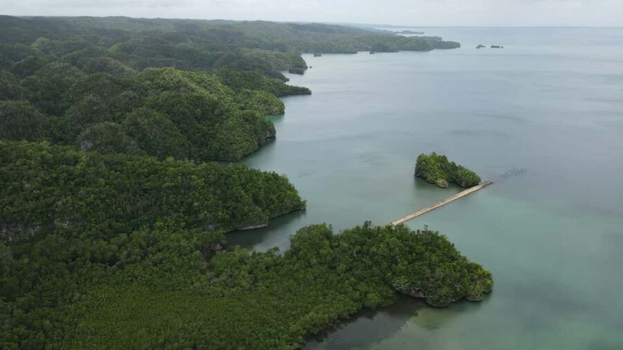 Las Terrenas: Los Haitises Boat and Walking Tour with Lunch - The long drive from Las Terrenas to Samaná, and why it matters