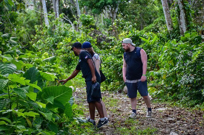 Let's do hiking in Punta Cana - Included Fuel Stops: Fruit, Water, Soda, and Coffee/Tea