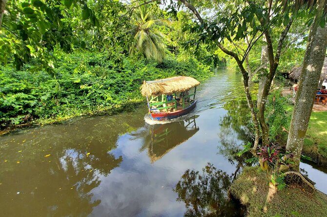 Local Excursion || Jungle Safari Excursion - Key highlights to know before you book
