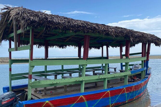 Local Excursion || Jungle Safari Excursion - La Boca swim spot: clear water, but pack like you mean it