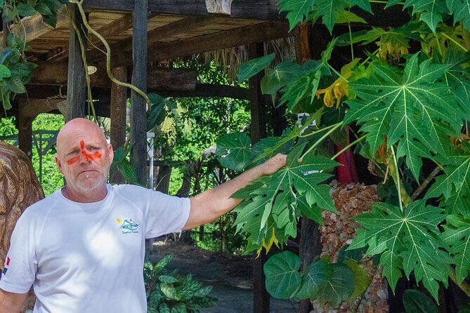 Local Excursion || Jungle Safari Excursion - Price and what $95 buys you (and what it doesn’t)