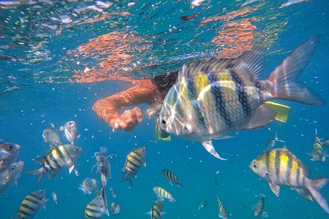 Local Excursion | Paradise Island Punto Rucia & snorkeling - Paradise Island (Cayo Arena): Beach Time That Feels Like a Pause