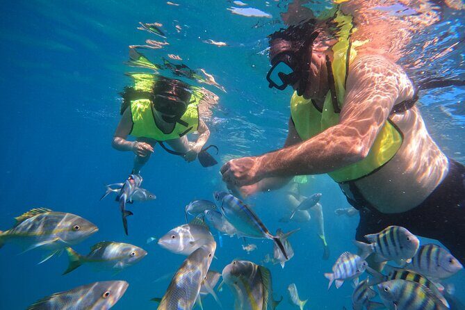 Local Excursion | Paradise Island Punto Rucia & snorkeling - Tony Tours Service: The Real-World Difference You Notice