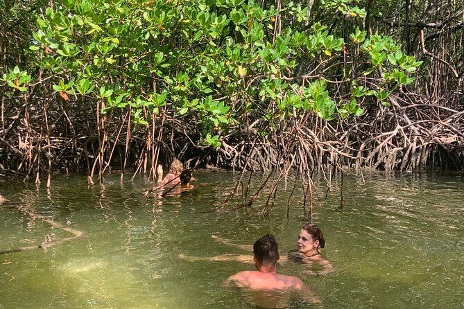 Local Excursion | Paradise Island Punto Rucia & snorkeling - Punta Rucia to Cayo Arena: The Speedboat + Mangrove Route